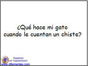 Mi Gato