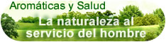 Aromaticas y Salud
