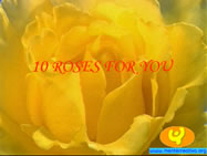 10 ROSES FOR YOU 