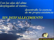 Alas al Viento 