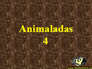 animalitos