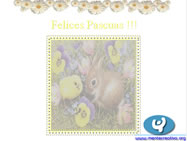 Bebés Pascuas 