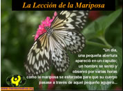 La Mariposa 