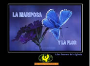 La Mariposa y la Flor 