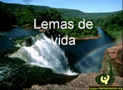 Lemas da Vida 