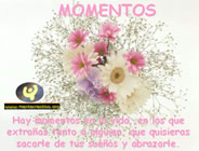 Momentos