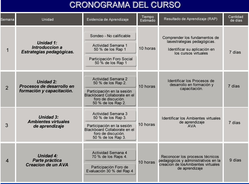 Cronograma