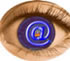Área de Investigación