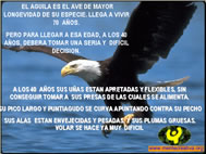 El Aguila Cambios  