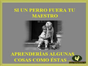 Un buen amigo 