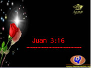 Juan 3:16